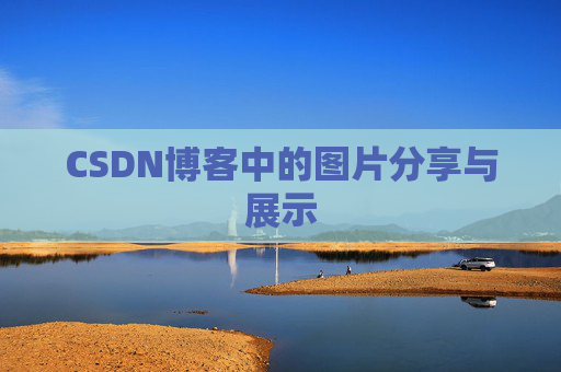 CSDN博客中的图片分享与展示
